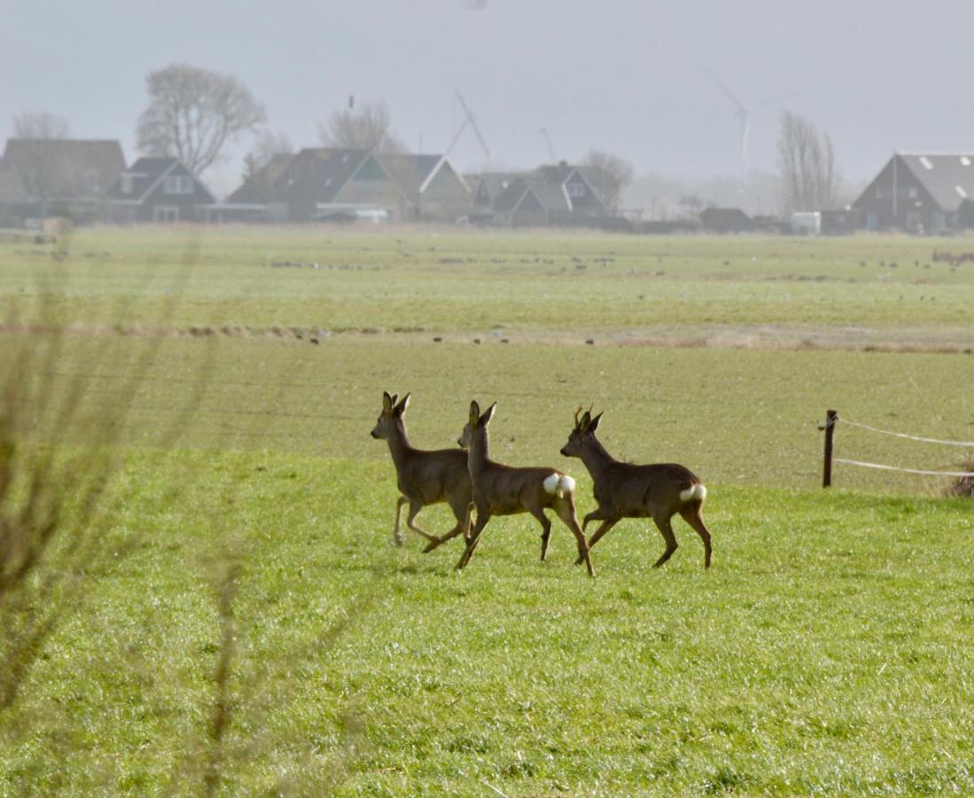 Het Melkhuis Op Prachtig Landgoed Koepeltjesplaats Gaast Exterior foto
