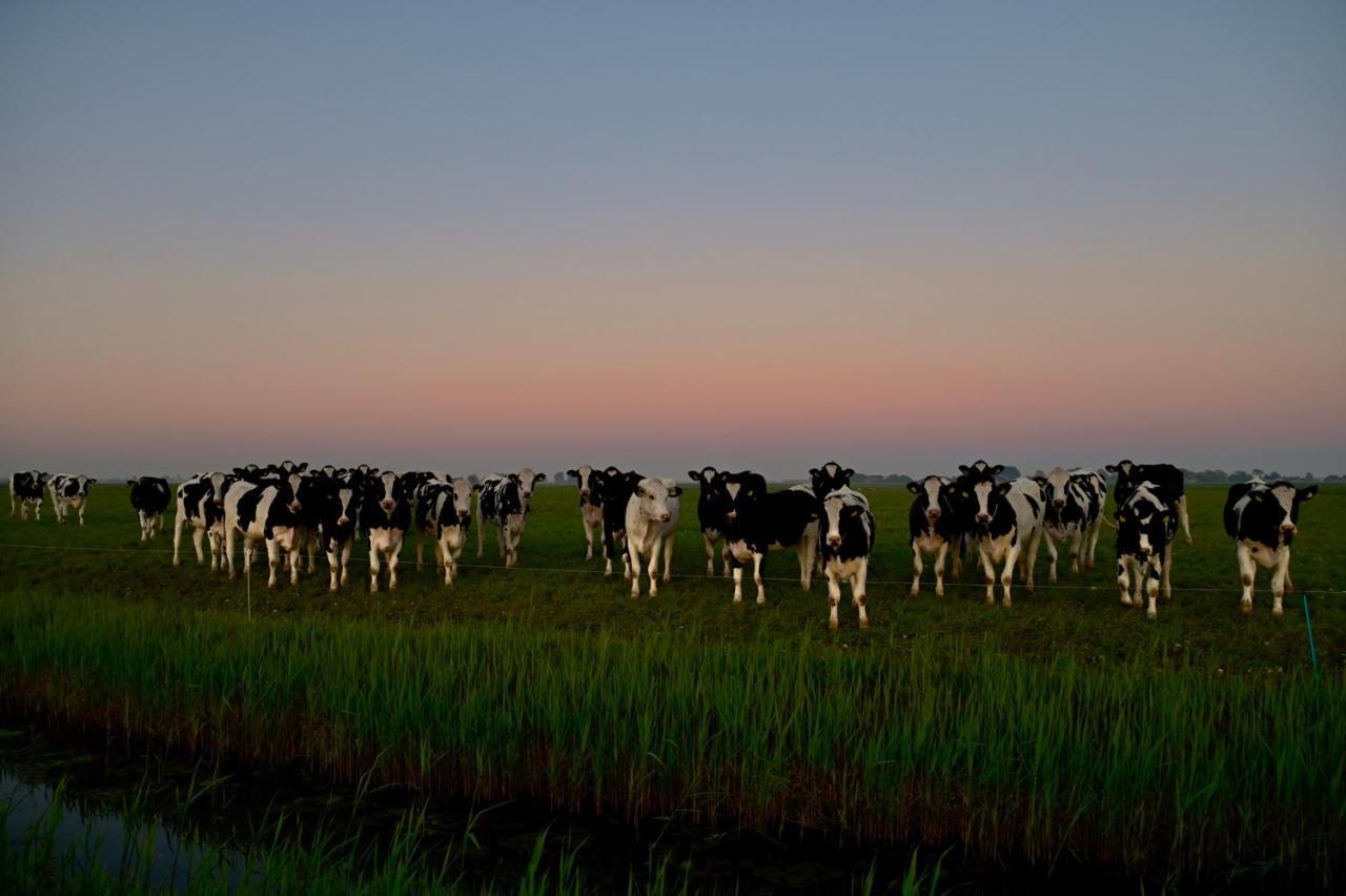 Het Melkhuis Op Prachtig Landgoed Koepeltjesplaats Gaast Exterior foto